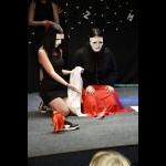 4. 11. 2025 – Čtenářská štafeta ZŠ (Foto: Kryštof Krtička)