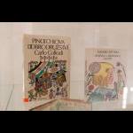 7. 11. 2025 – Vlastivědné muzeum (Foto: Milan Dvořáček)