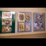 8. 11. 2025 – MK TGM Šumperk (Foto: Milan Dvořáček)