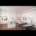 6. 11. 2025 – Vlastivědné muzeum - výstava židovská (Foto: Milan Dvořáček a Petra Kozáková)