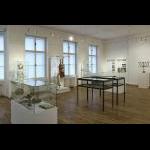 6. 11. 2025 – Vlastivědné muzeum - výstava židovská (Foto: Milan Dvořáček a Petra Kozáková)